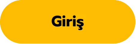 Giriş